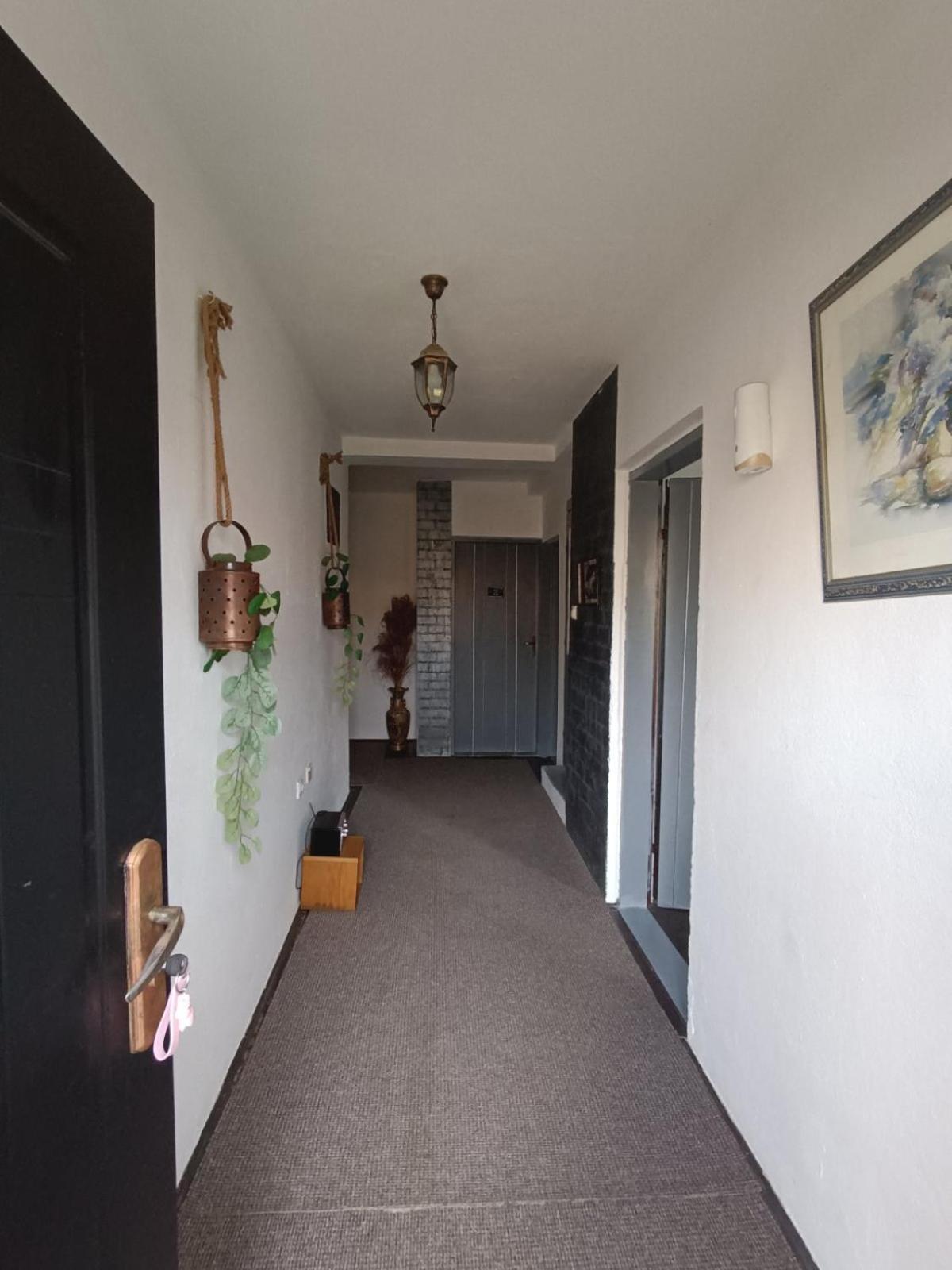 Appartement Etno Selo Nasa Avlija à Blace Extérieur photo